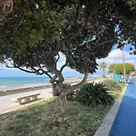 Nettuno 2023