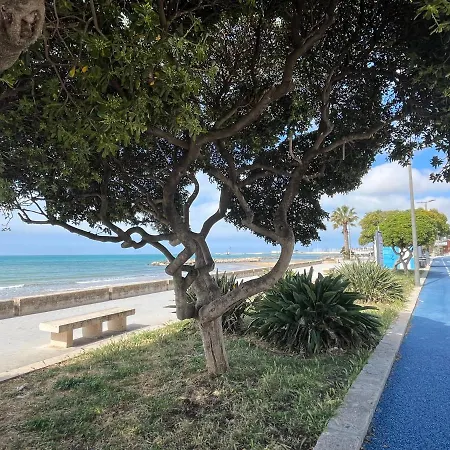 Nettuno 2023