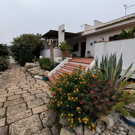 Nettuno 2023 Villa